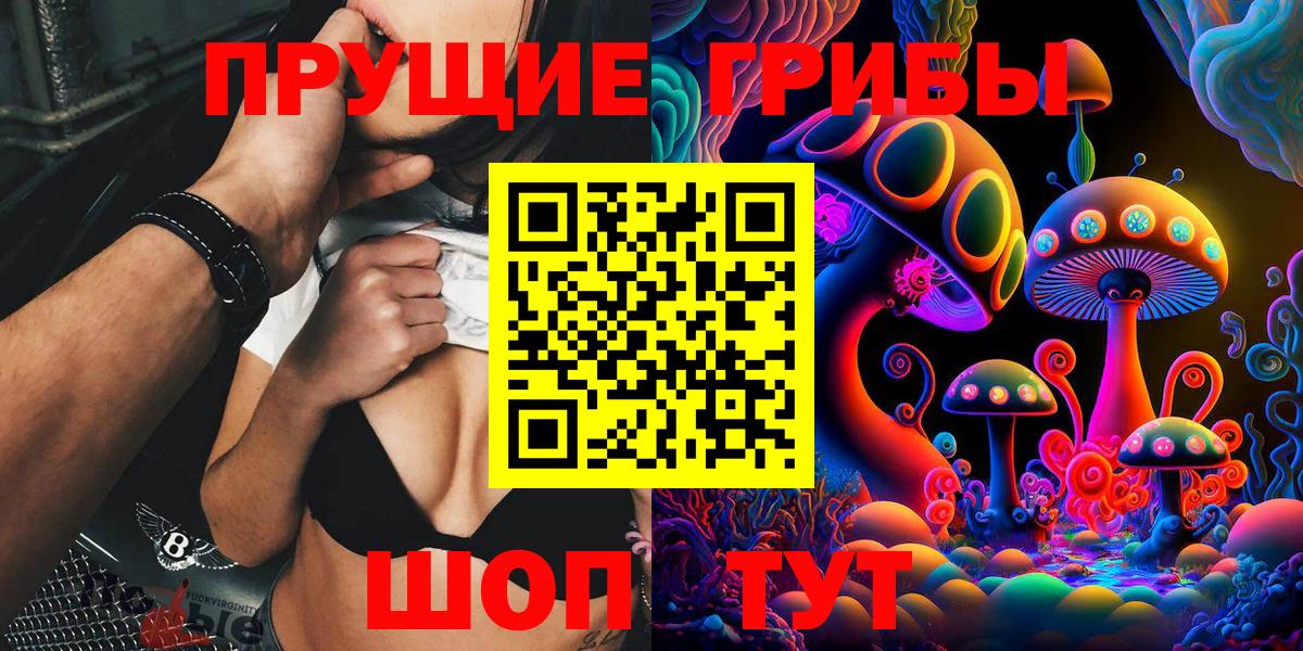 Псилоцибиновые грибы Psilocybine cubensis Мценск