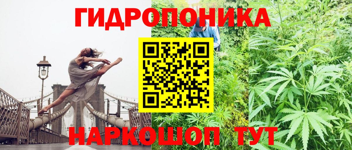 Бошки марихуана гибрид Мценск